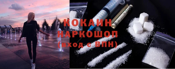 гашик Горняк