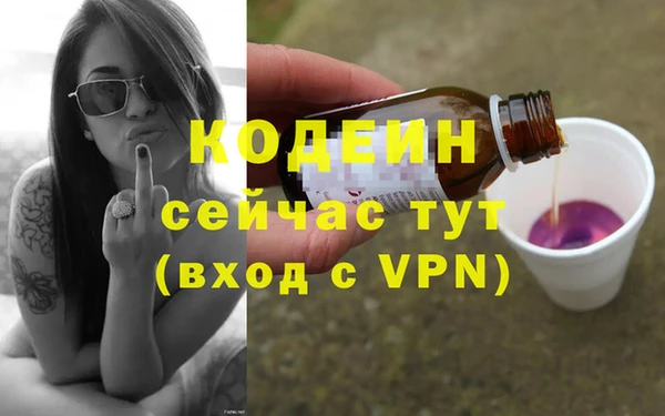 эйфоретик Гусь-Хрустальный