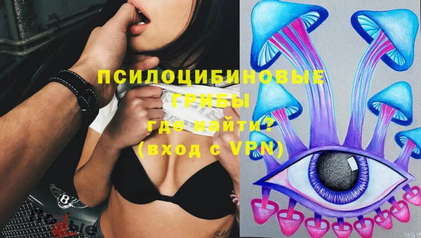 таблы Бутурлиновка
