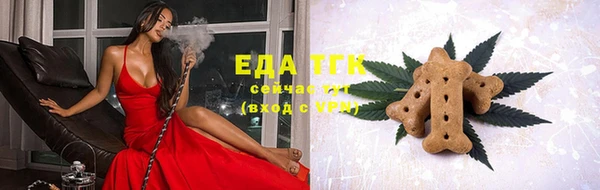 шишки Гусиноозёрск