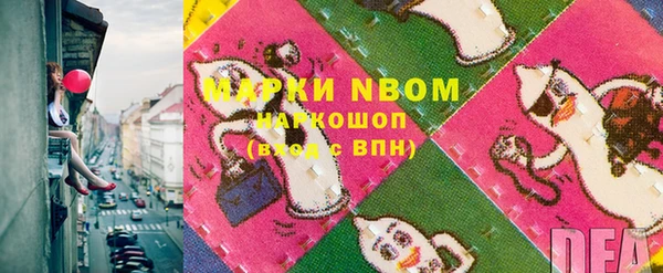 гашик Горняк
