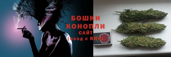 соль ск Гусев