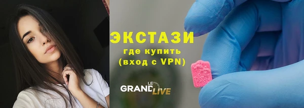 шишки Гусиноозёрск