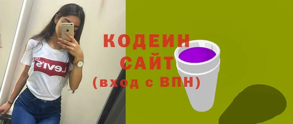 гашик Горняк