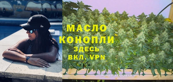 шишки Гусиноозёрск