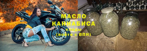 шишки Гусиноозёрск