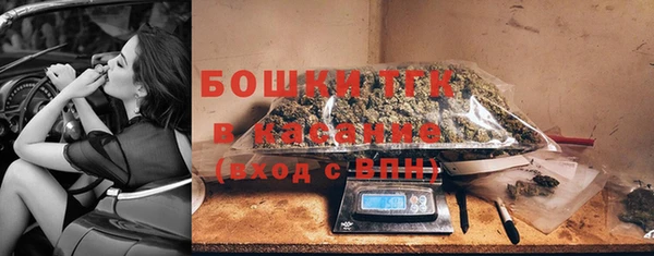 гашик Горняк