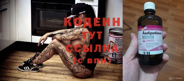соль ск Гусев