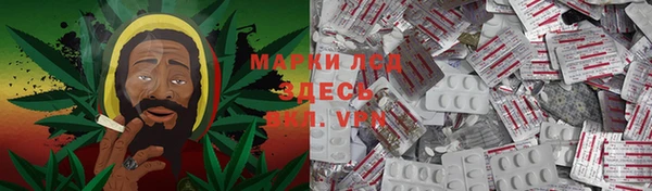 крисы Горнозаводск