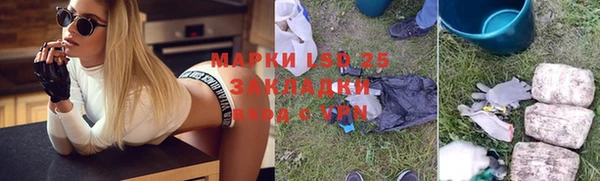 шишки Гусиноозёрск