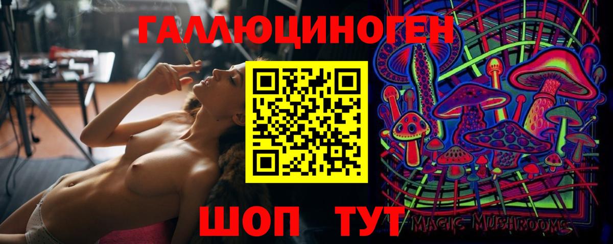 Галлюциногенные грибы Psilocybe  Вход с VPN  что такое   Донской 
